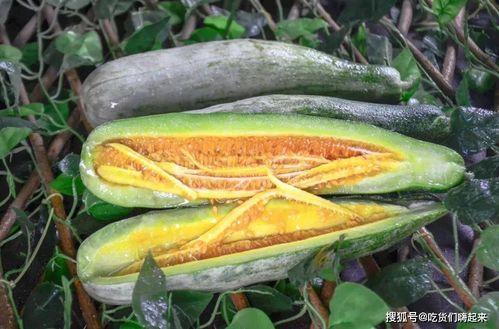 成县的吃瓜网红有哪些,瓜田里的“吃瓜”达人盘点  第2张