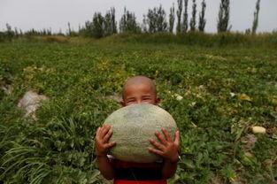 吃瓜网红图片高清,揭秘吃瓜网红高清美照背后的故事  第2张