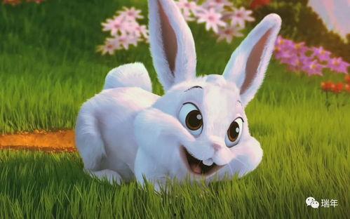 娱乐吃瓜酱 兔 圆  第1张