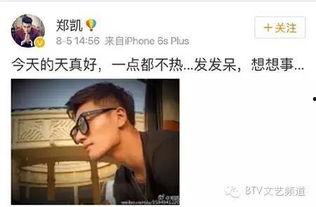 李晨微博爆料郑凯视频,真相背后引热议  第2张