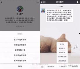 新乡今日爆料电话查询号码,一通电话，掌握城市动态！”  第1张