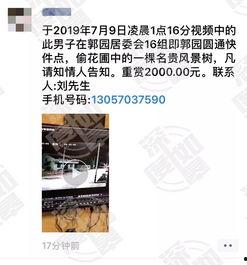 深圳刘先生爆料视频,揭秘事件背后真相  第2张